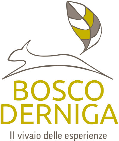 BoscoDerniga Il Vivaio delle Esperienze | © Archivio Comune Ossana
