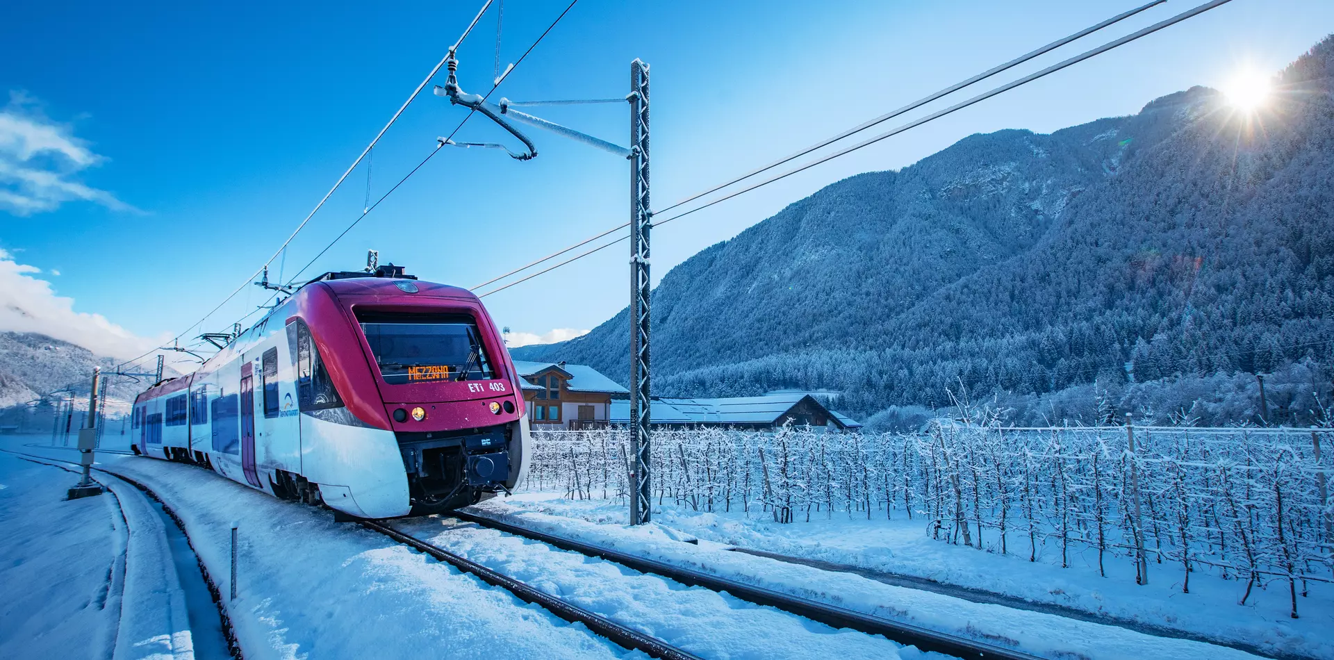 Servizio Ski Train, treno+ sci Dolomiti Express | © Archivio APT Val di Sole - Ph Tommaso Prugnola