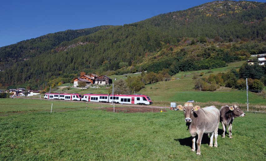 Mobilità treno  | © Archivio APT Val di Sole - Ph Giuliano Bernardi 