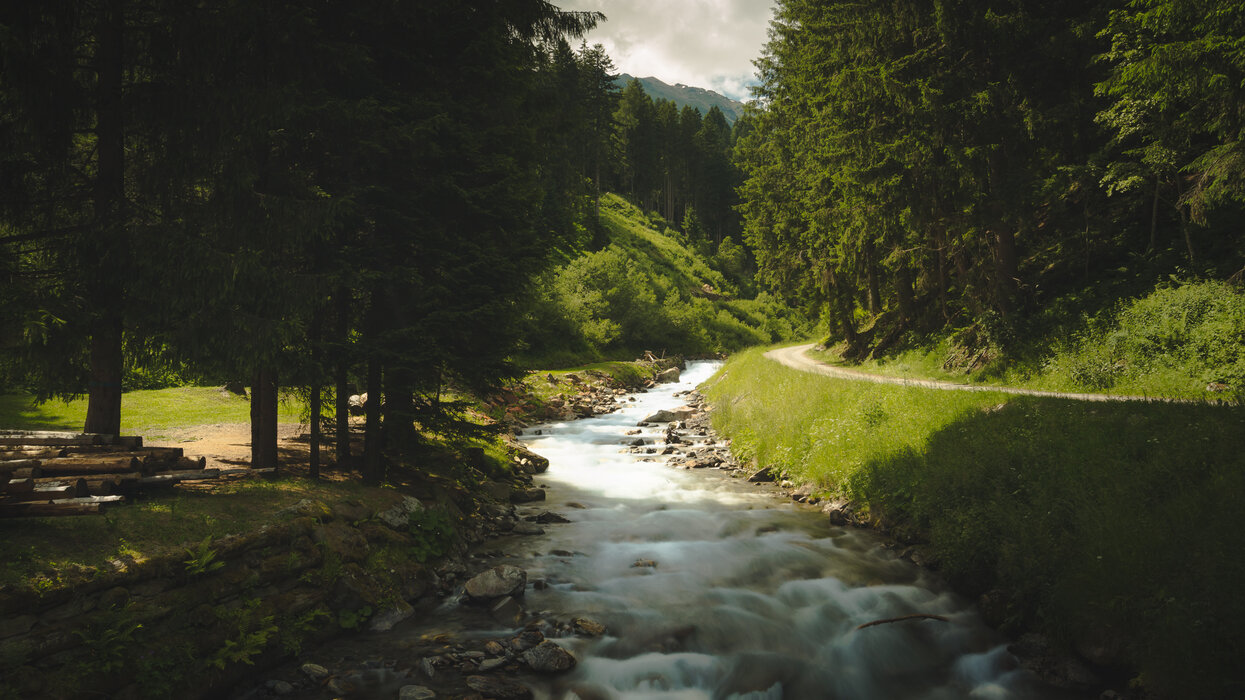 Torrente Rabbies in Val di Rabbi | © Archivio APT Val di Sole - Ph Visual Stories