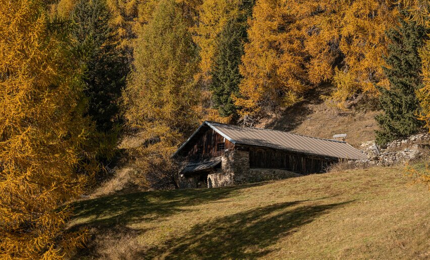 Lago di Covel in autunno | © Archivio APT Val di Sole Ph Elisa Fedrizzi