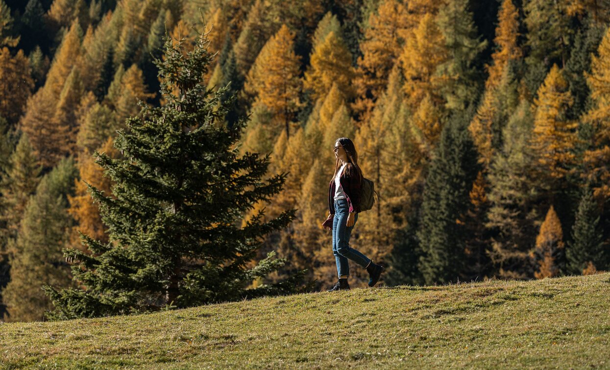 Lago di Covel in autunno | © Archivio APT Val di Sole - Ph Elisa Fedrizzi