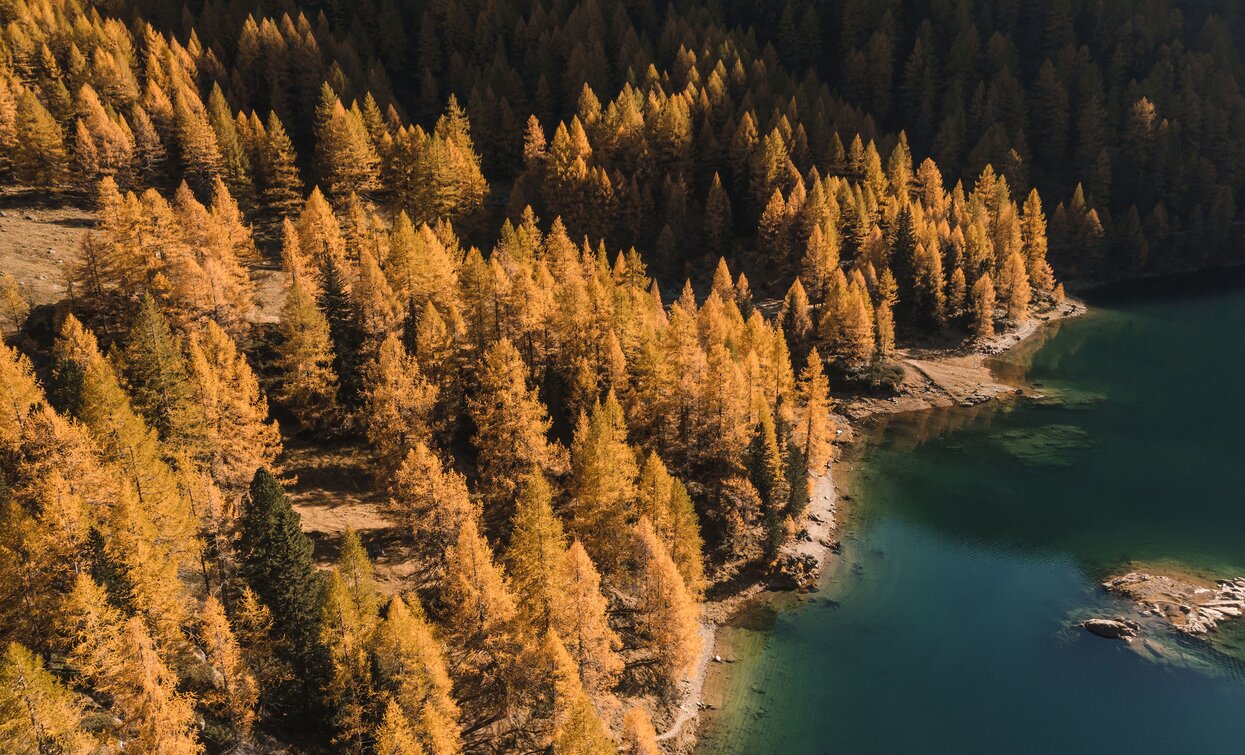 Lago di Pian Palù in autunno | © Archivio APT Val di Sole Ph Giacomo Podetti