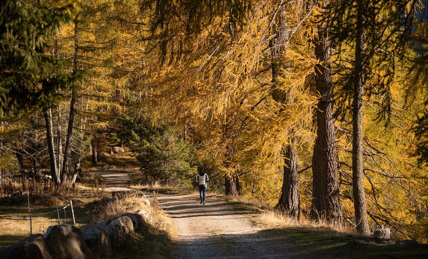 Lago di Covel in autunno | © Archivio APT Val di Sole Ph Elisa Fedrizzi