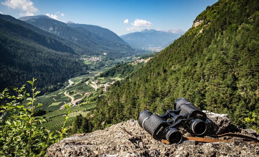 Trincee | © Archivio APT Val di Sole - ph Tommaso Prugnola 