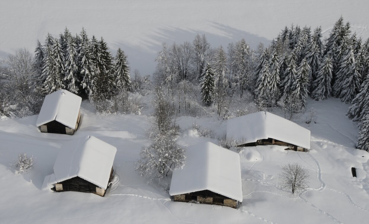 Masi nella neve in Val di Peio | © Archivio APT Val di Sole - Ph Dario Andreis