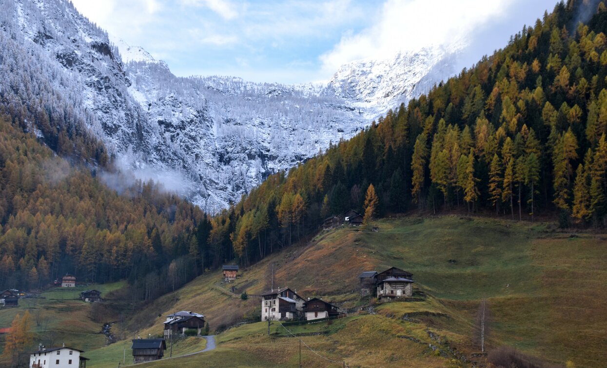 Val Valorz d'autunno in Val di Rabbi | © Archivio APT Val di Sole - Ph Dario Andreis