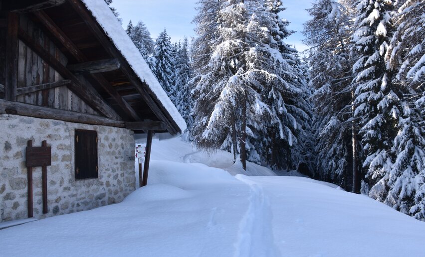 Malghetto di Almazzago | © Archivio ApT Val di Sole - Foto Dario Andreis