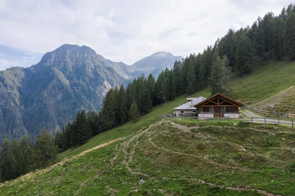 Malga Polinar | © Archivio APT Val di Sole - Ph Giacomo Podetti