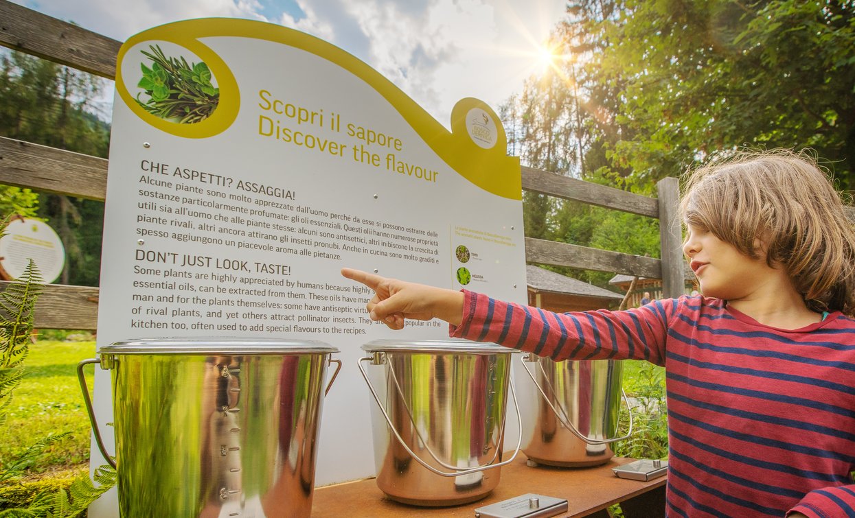 BoscoDerniga Il Vivaio delle Esperienze | © Archivio APT Val di Sole - Ph Tommaso Prugnola