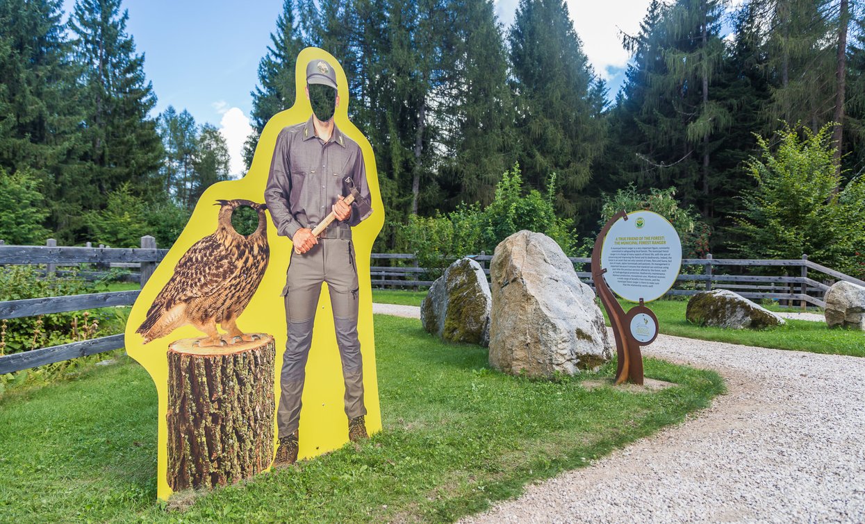 BoscoDerniga Il Vivaio delle Esperienze | © Archivio APT Val di Sole - Ph Riccardo Meneghini