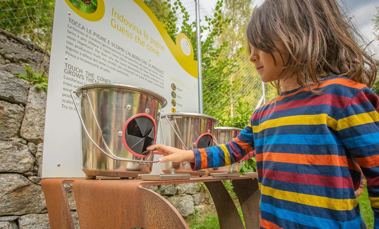 BoscoDerniga Il Vivaio delle Esperienze | © Archivio APT Val di Sole - Ph Tommaso Prugnola