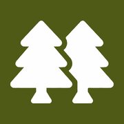 BoscoDerniga alberi | © Archivio APT Val di Sole