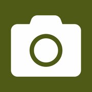 BoscoDerniga foto | © Archivio APT Val di Sole