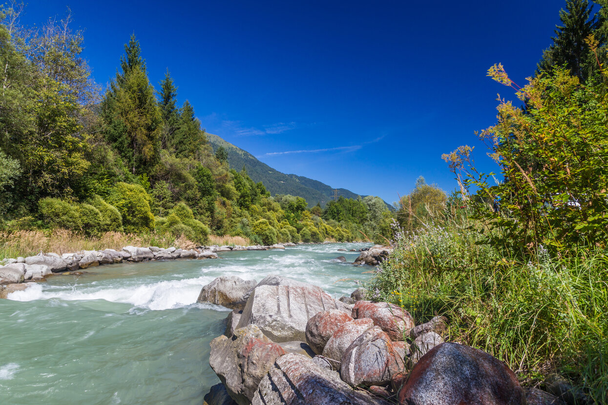 Ontaneta Croviana | © Archivio APT Val di Sole - Ph Riccardo Meneghini