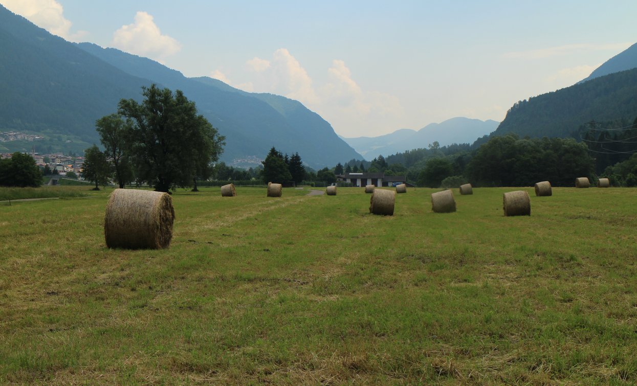 Ontaneta Croviana | © Archivio APT Val di Sole - Ph Dario Andreis