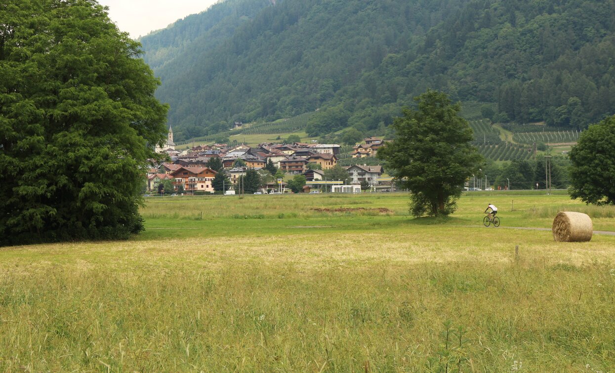 Ontaneta Croviana | © Archivio APT Val di Sole - Ph Dario Andreis