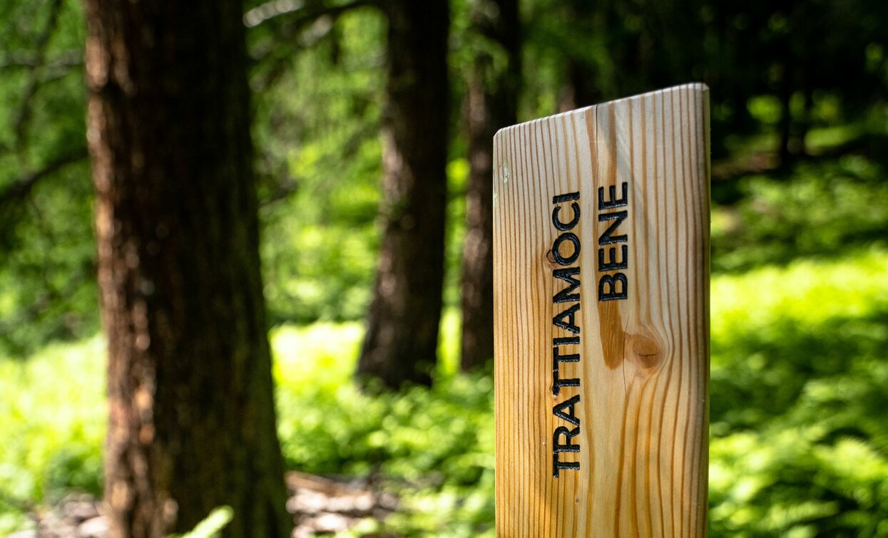 Parco Sonoro Fruscio | © Archivio APT Val di Sole - Ph Gianluca Prati