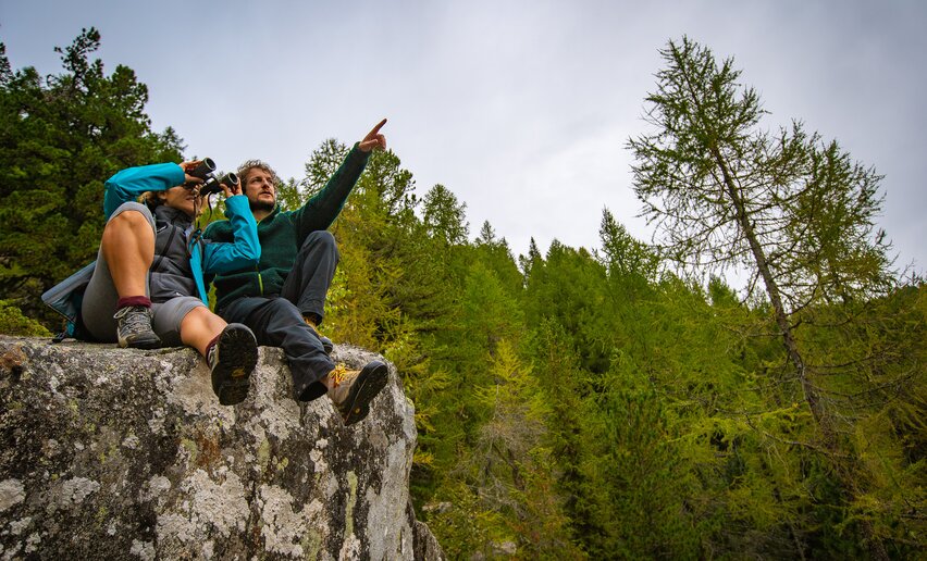 Con gli esperti del Parco Naturale Adamello Brenta | © Archivio APT Val di Sole - Ph Tommaso Prugnola