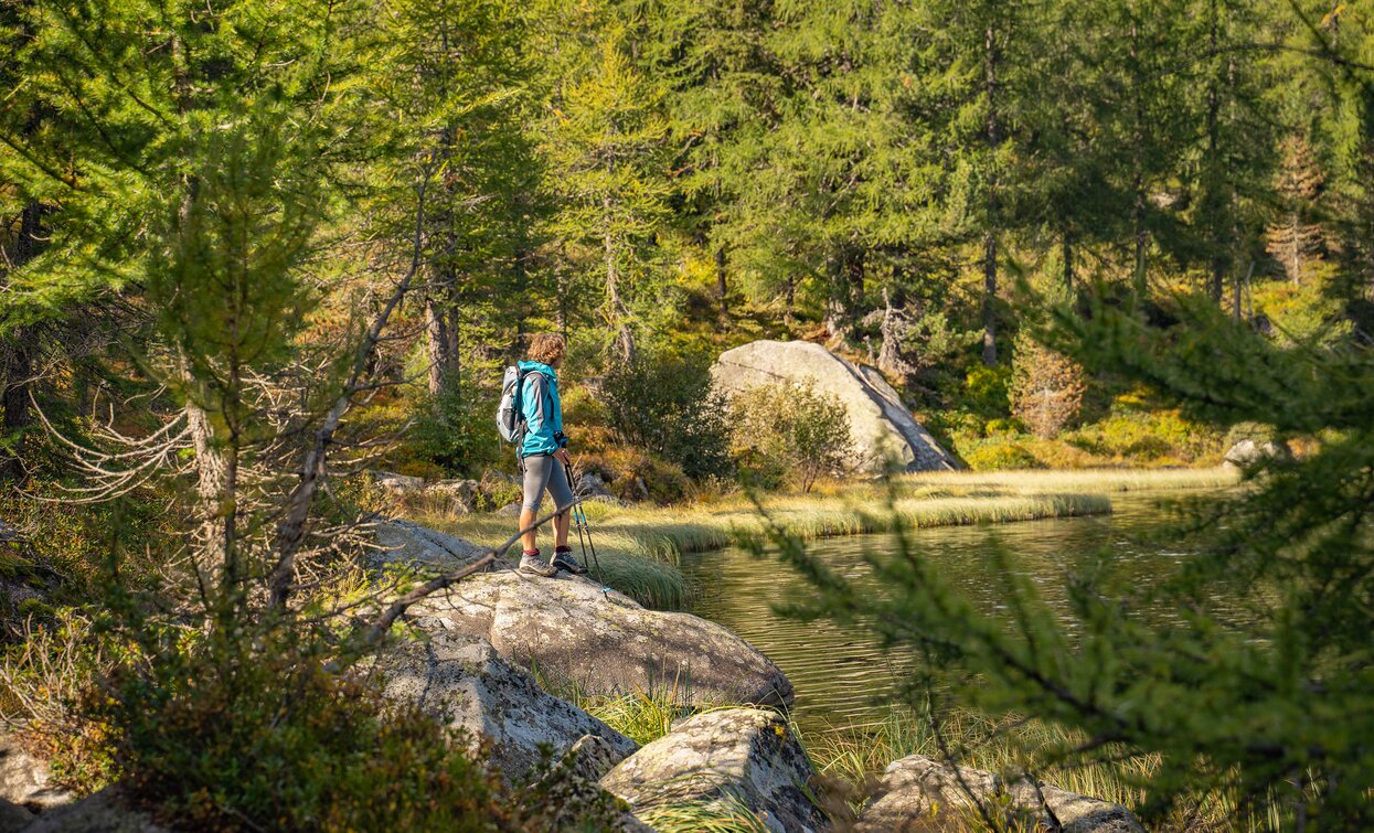 Lago delle Malghette nel Parco Naturale Adamello Brenta | © Archivio APT Val di Sole - Ph Tommaso Prugnola