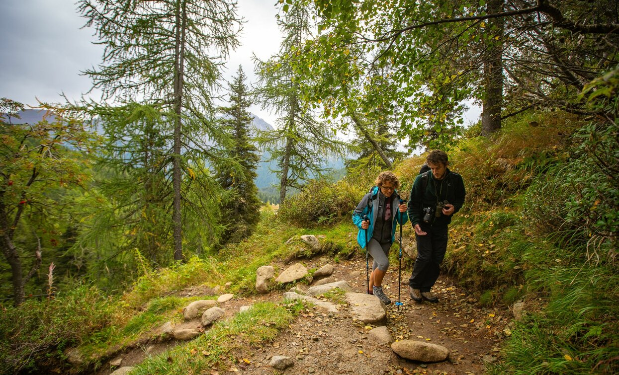 A spasso nel Parco Adamello Brenta Geopark | © Archivio APT Val di Sole - Ph Tommaso Prugnola