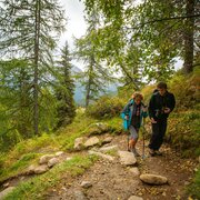 A spasso nel Parco Adamello Brenta Geopark | © Archivio APT Val di Sole - Ph Tommaso Prugnola