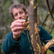 Esperto del Parco Naturale Adamello Brenta Geopark | © Archivio APT Val di Sole - Ph Tommaso Prugnola