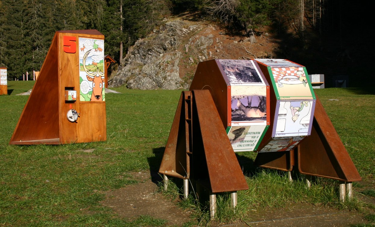 Il Gioco del Parco in Val di Rabbi | © Archivio Parco Nazionale dello Stelvio