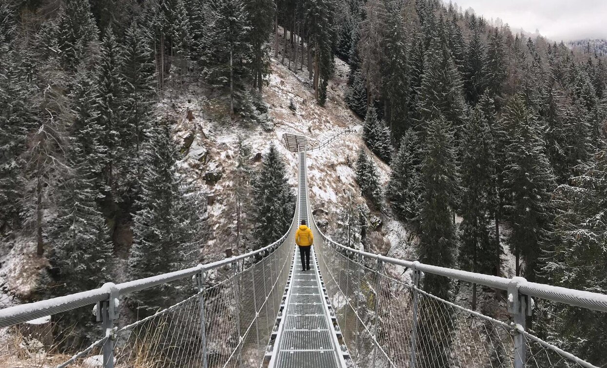 Ponte Sospeso Val di Rabbi | © Archivio APT Val di Sole - Ph Marco Boglioni