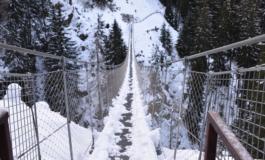 Ponte Sospeso Val di Rabbi | © Archivio APT Val di Sole - Ph Dario Andreis