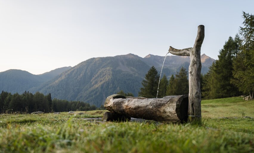 Fontana nei pressi di malga Covel in Val di Peio | © Archivio APT Val di Sole - Ph Giacomo Podetti