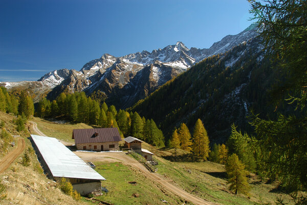 Malga Cercen Bassa | © Archivio APT Val di Sole - Ph Tiziano Mochen