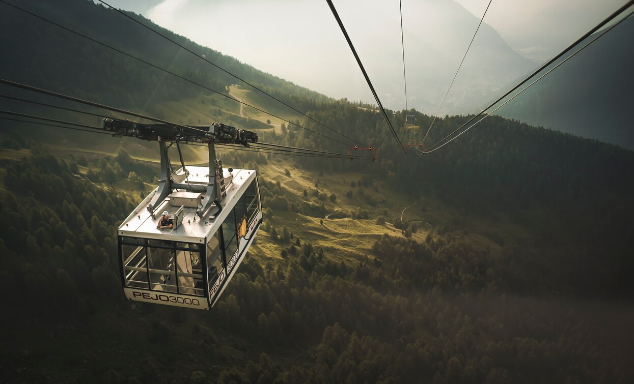 Skiarea Pejo3000 Val di Sole | © Archivio APT Val di Sole - Ph Joshua Morin