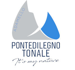 Sconto skipass Pontedilegno Tonale