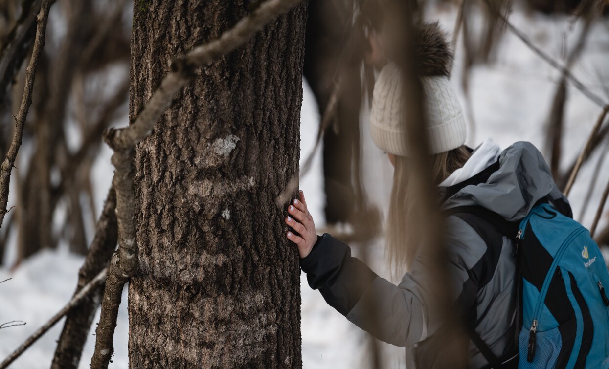 Bushcraft | © Archivio ApT Val di Sole - Foto Giacomo Podetti