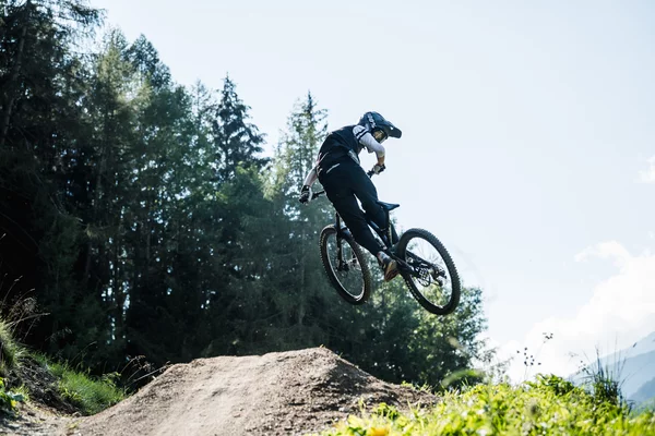 Bike Park PontediLegno-Tonale | © Archivio ApT Val di Sole - Ph. G. Podetti