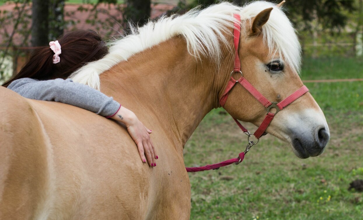 Equitazione  | © Archivio Agritur Bontempelli 