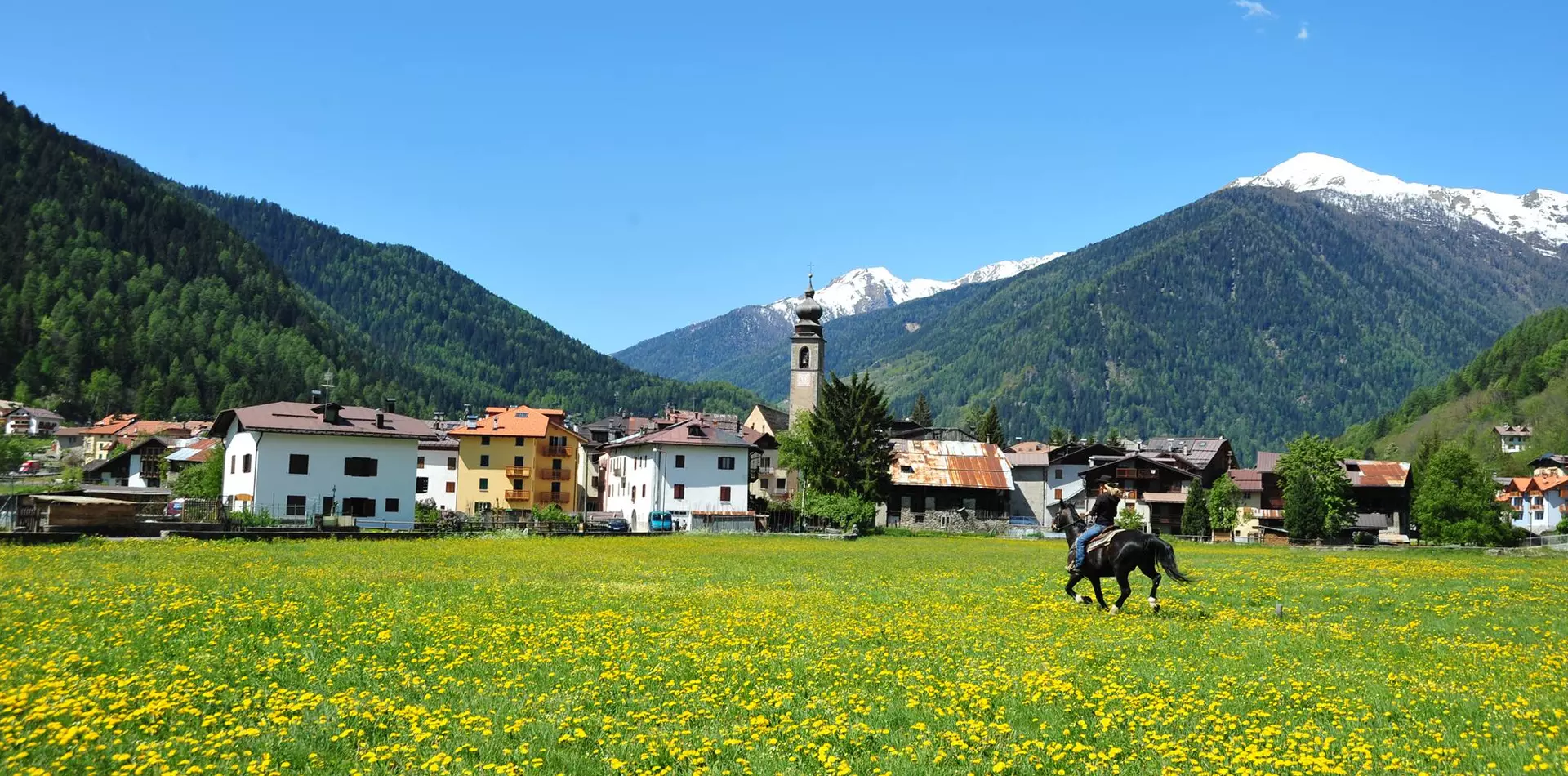 Escursioni a cavallo in Val di Sole | © Ph Centro Equitazione Alpina Val di Sole