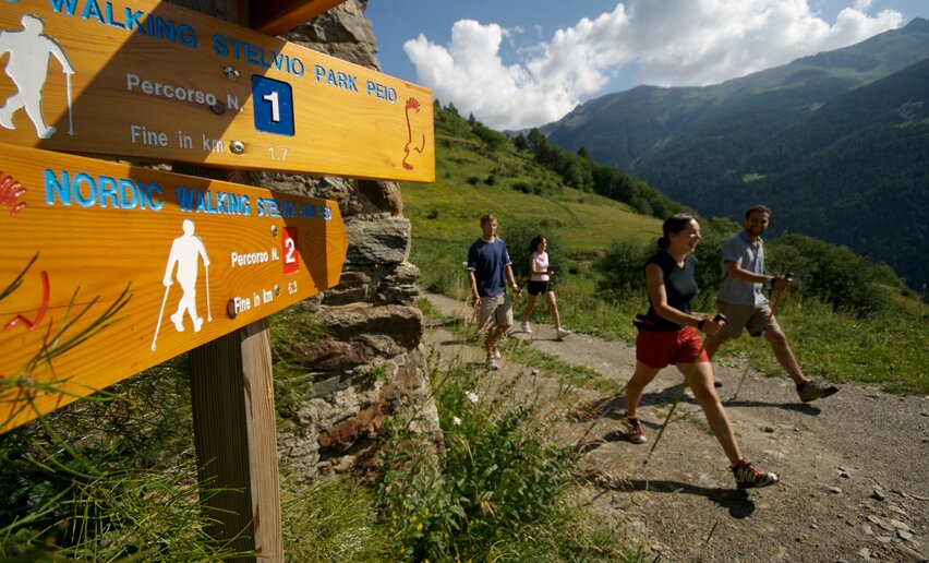 Nordic Walking in Val di Sole | © Archivio APT Val di Sole - Ph Ronny Kiaulehn