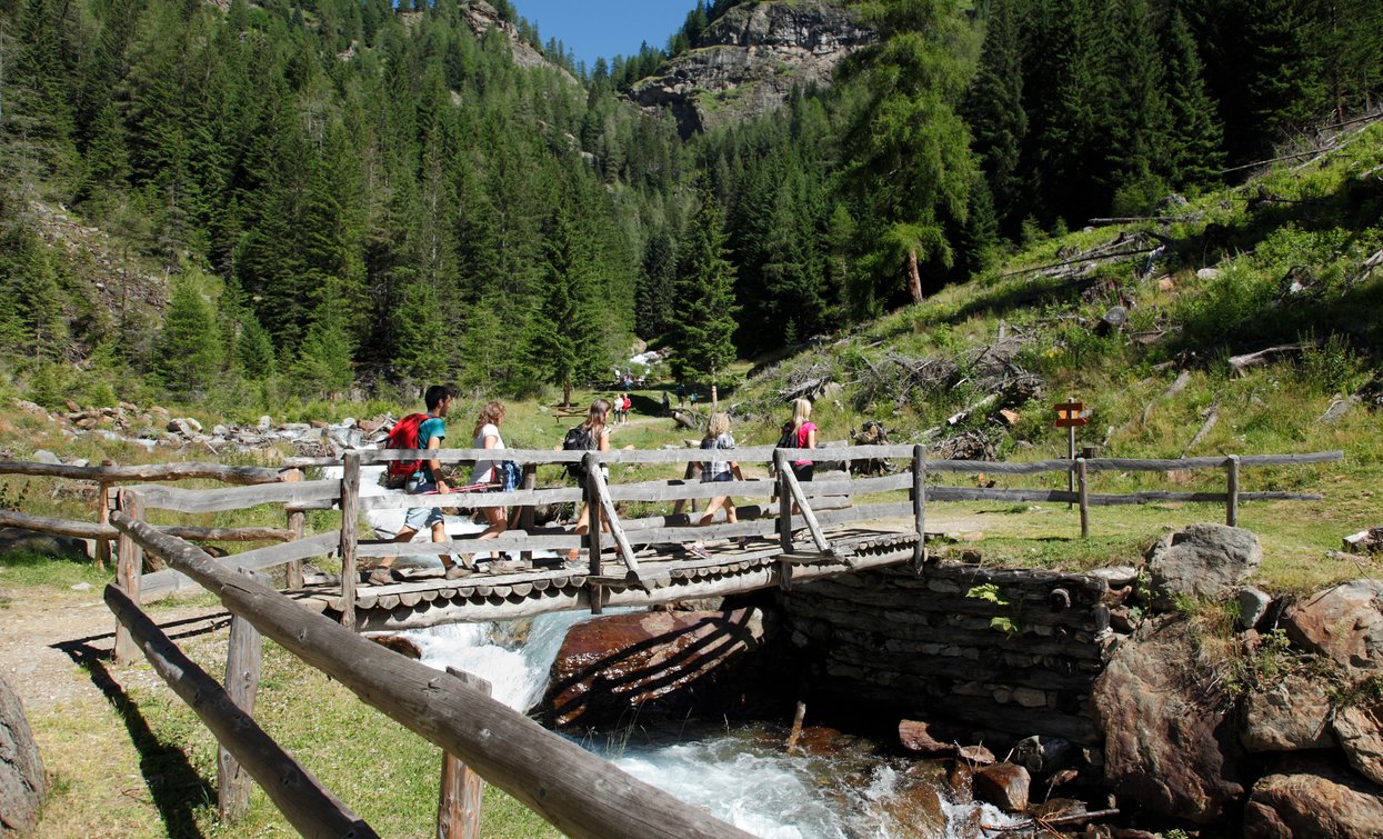 Passeggiate Val di Rabbi  | © Archivio APT Val di Sole - Ph Brianimage