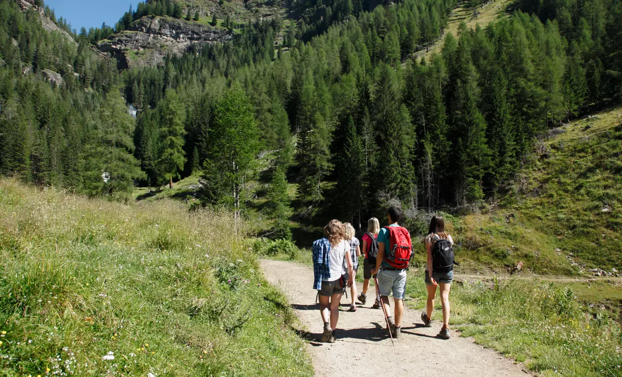 Passeggiate Val di Rabbi  | © Archivio APT Val di Sole - Ph Brianimage