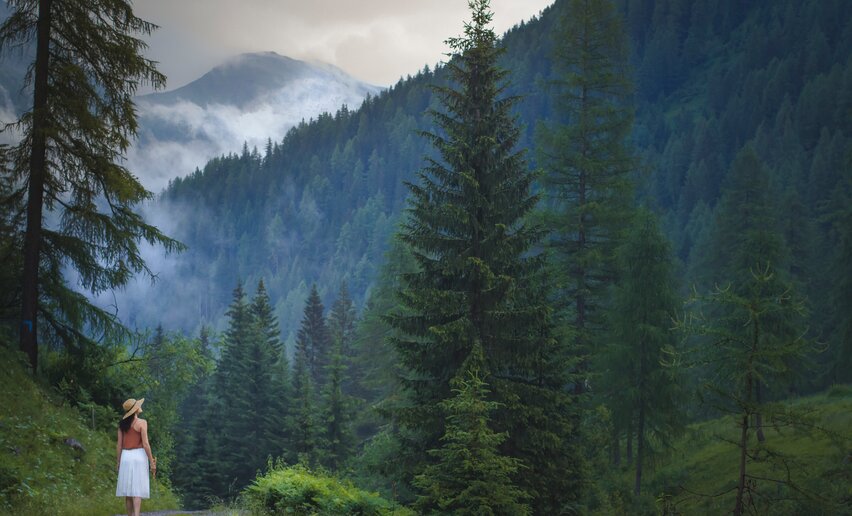 Passeggiare nella natura in Val di Sole | © Archivio APT Val di Sole - Ph Enza Di Lecce