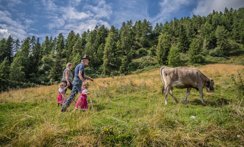 Passeggiata nei dintorni di Malga Bolentina | © Archivio APT Val di Sole - Ph Tommaso Prugnola