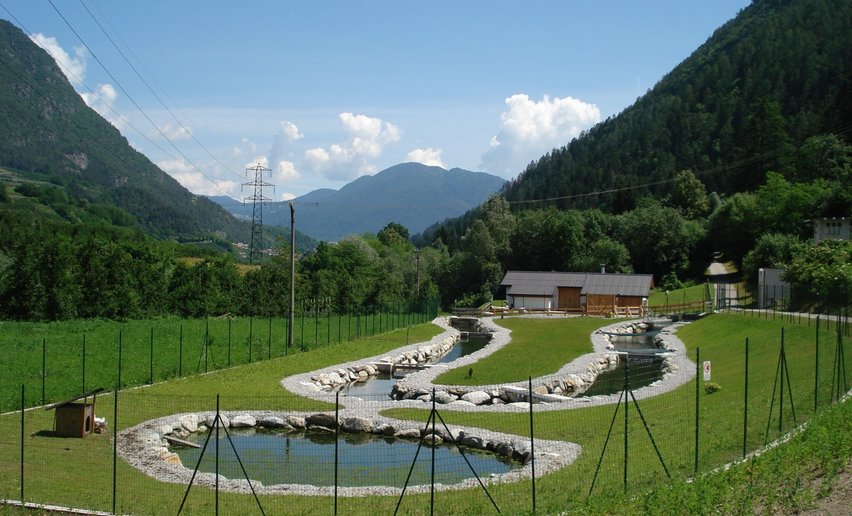 Centro Incubatoio Cavizzana | © Archivio APT Val di Sole - Ph Associazione pescatori solandri 