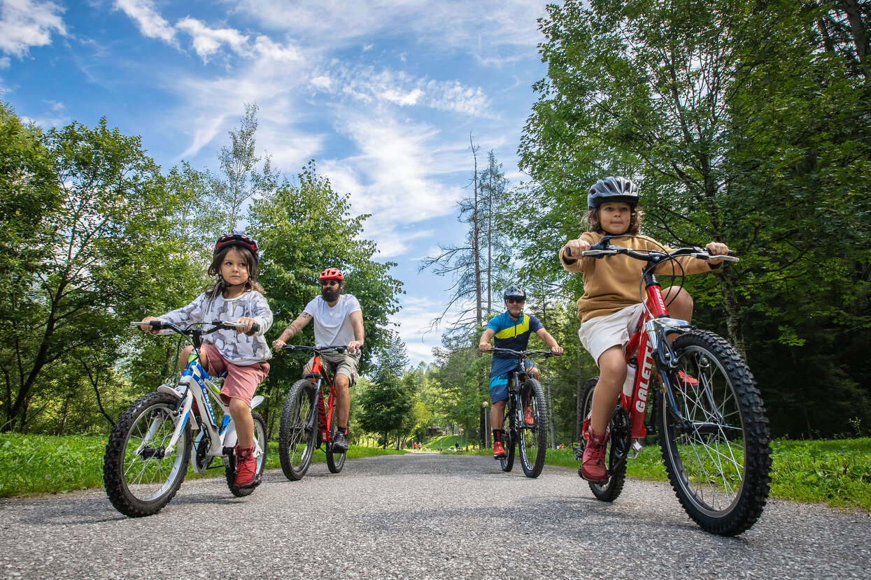 Pista Ciclabile Val di Sole | © Archivio APT Val di Sole - Ph Tommaso Prugnola