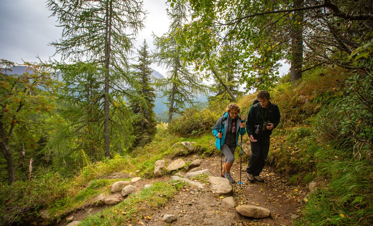 Trekking lungo il sentiero per il Lago delle Malghette | © Archivio APT Val di Sole - Ph Tommaso Prugnola 