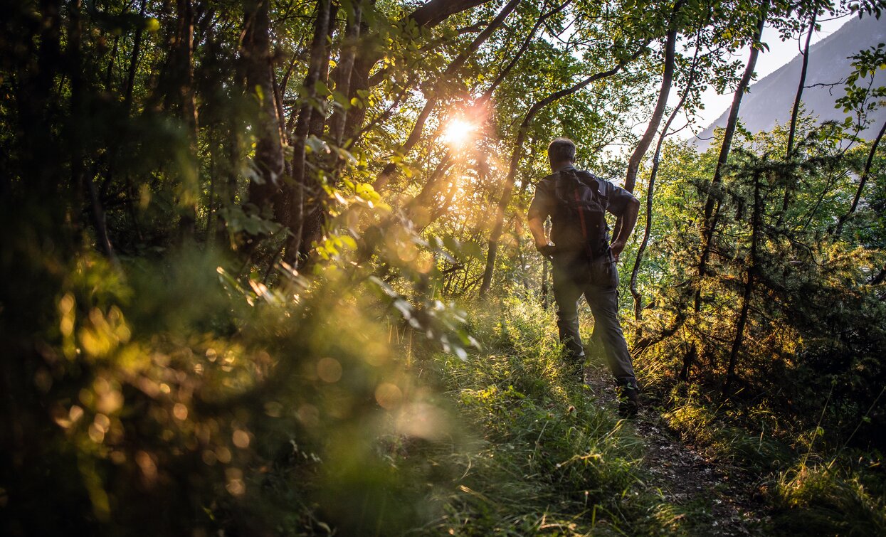 Trekking in compagnia del custode forestale | © Archivio APT Val di Sole - Ph Tommaso Prugnola 
