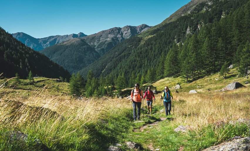 Verso il rifugio Dorigoni  | © Archivio APT Val di Sole - Ph Camilla Pizzini 