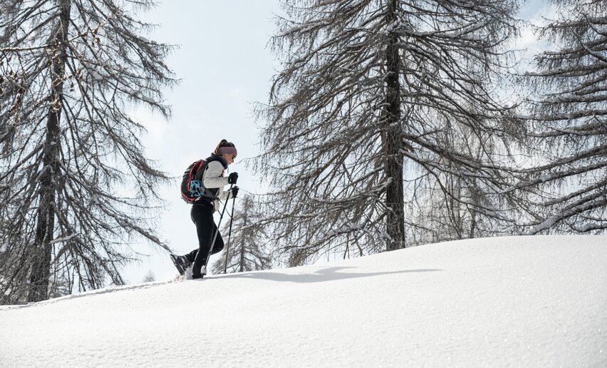 Itinerario Ciaspole Malghet Aut  | © Archivio APT Val di Sole - Ph Elisa Fedrizzi 