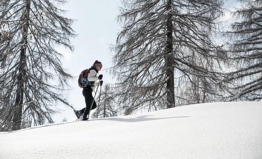 Itinerario Ciaspole Malghet Aut  | © Archivio APT Val di Sole - Ph Elisa Fedrizzi 